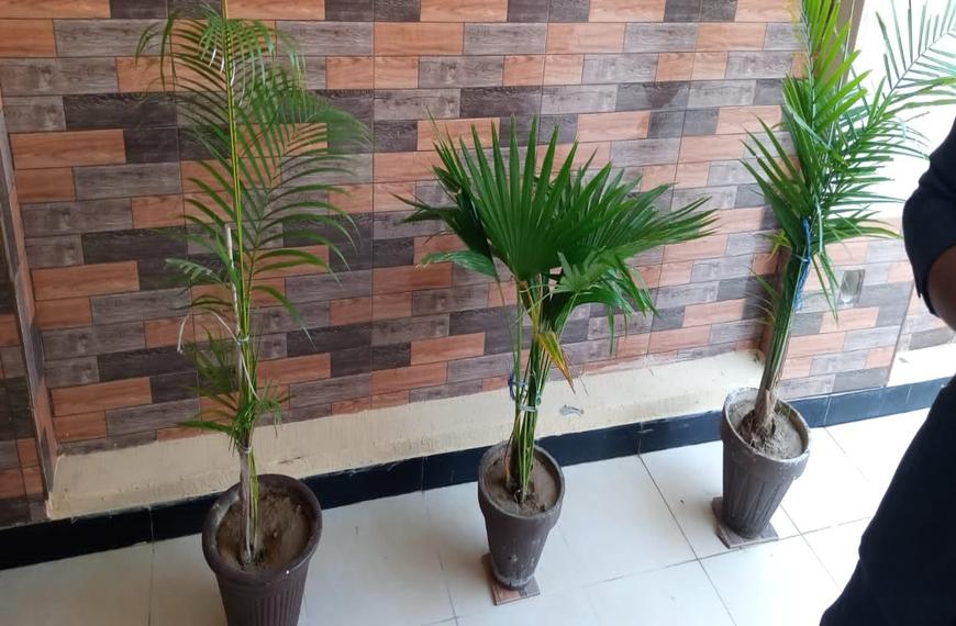 1702446798908_whatsapp_image_2023-09-12_at_16.30.18_(1).jpeg
